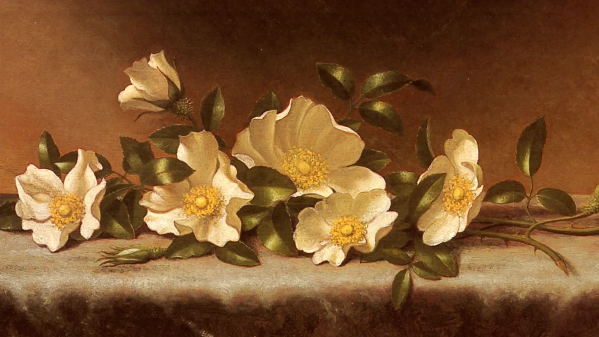 Cherokee Roses On A Light Gray Cloth, landscape painting by Martin Johnson Heade.